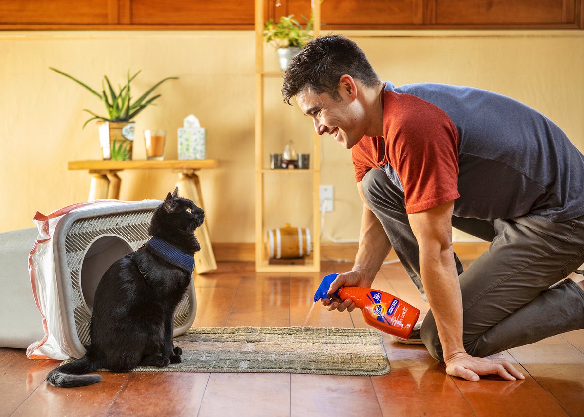 backpackingkitty tweet media