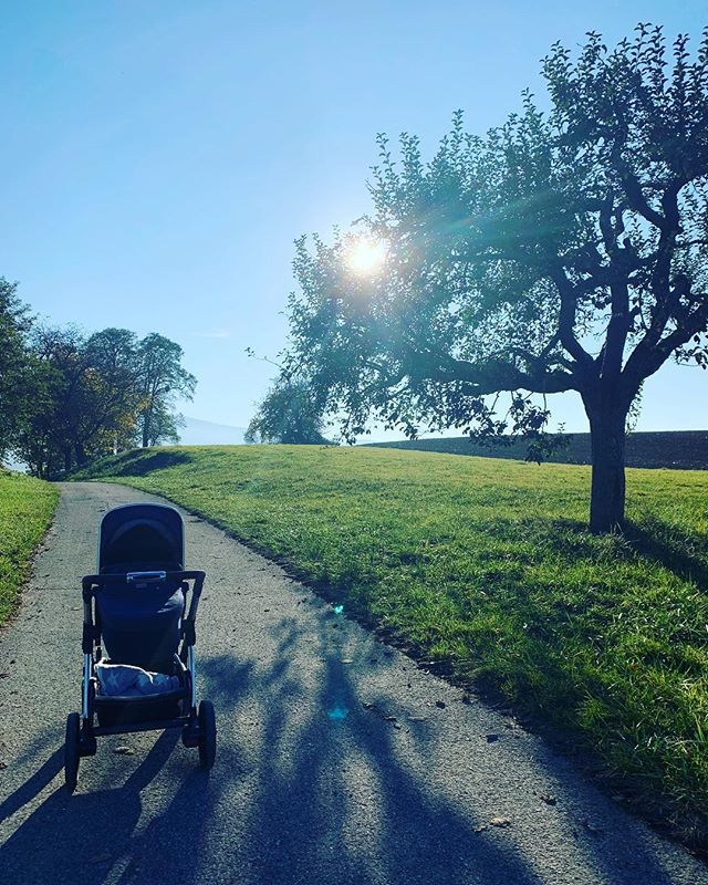 Autumnal walks are the one, especially now 🤗🍁☀️🍂 ift.tt/2SSuAwd