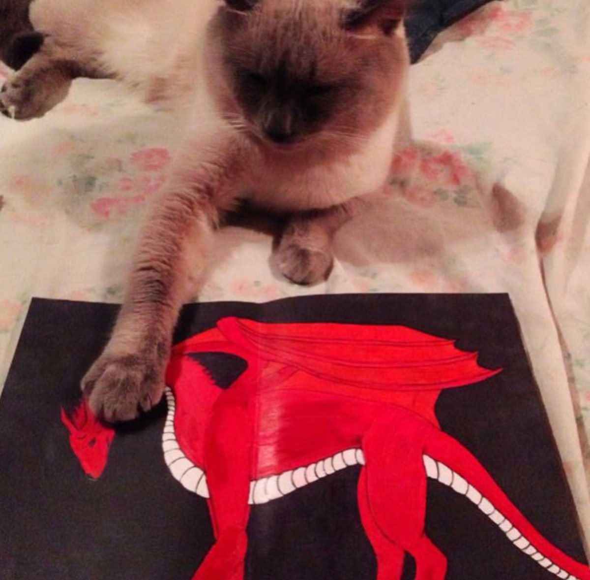 Once upon a time I was really good at drawing...and once upon a time I had a beautiful & sweet Siamese who claimed most of my drawings 😂. I miss my Snowball so much ❤️❤️💔. #snowball #siamesebaby #siameseangel #dragonart #permanentmarkerart