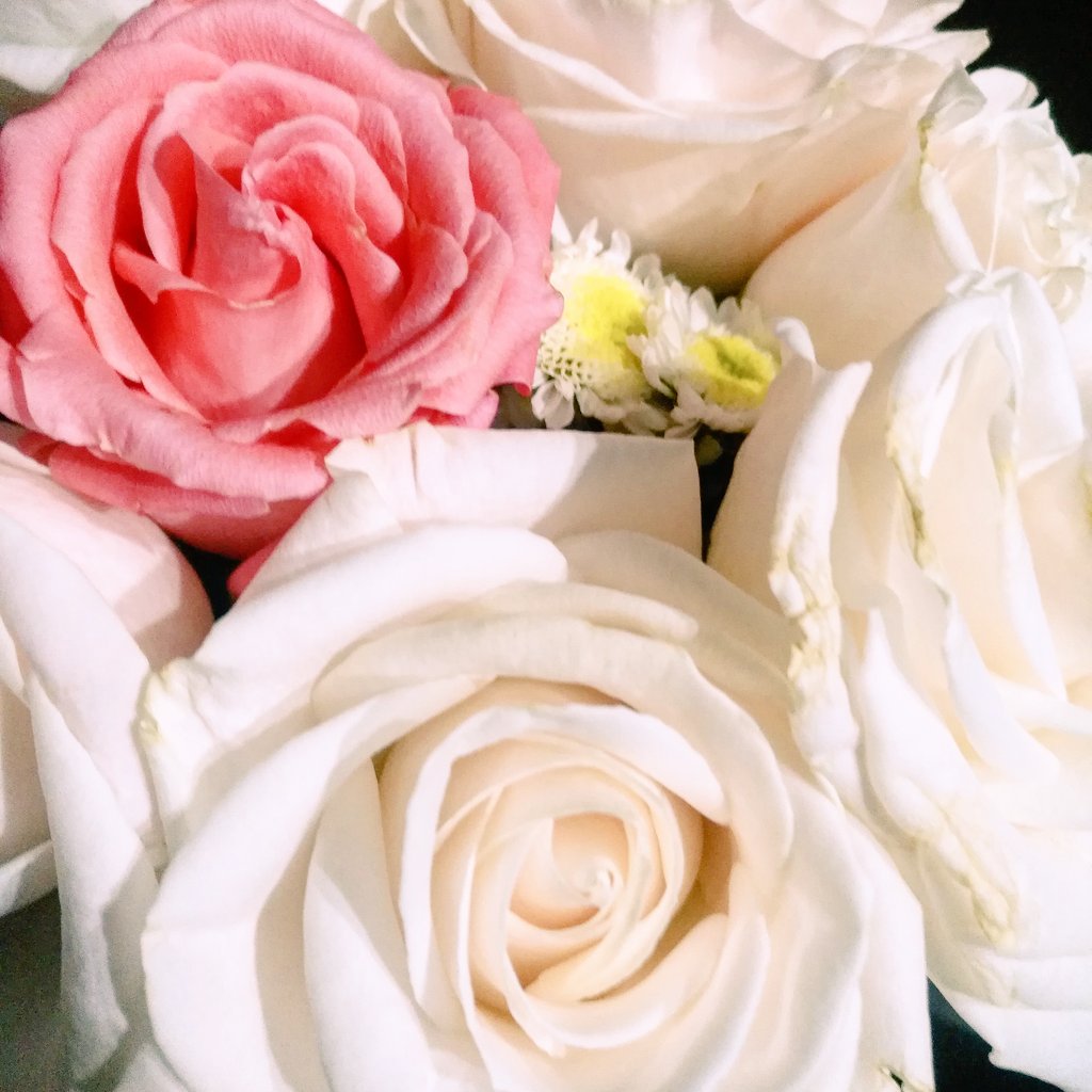 Todos los perfiles tienen altibajos
.
Descubre como recuperar la interacción y engagement luego de perderte por unos días
.
goo.gl/kFGCpm