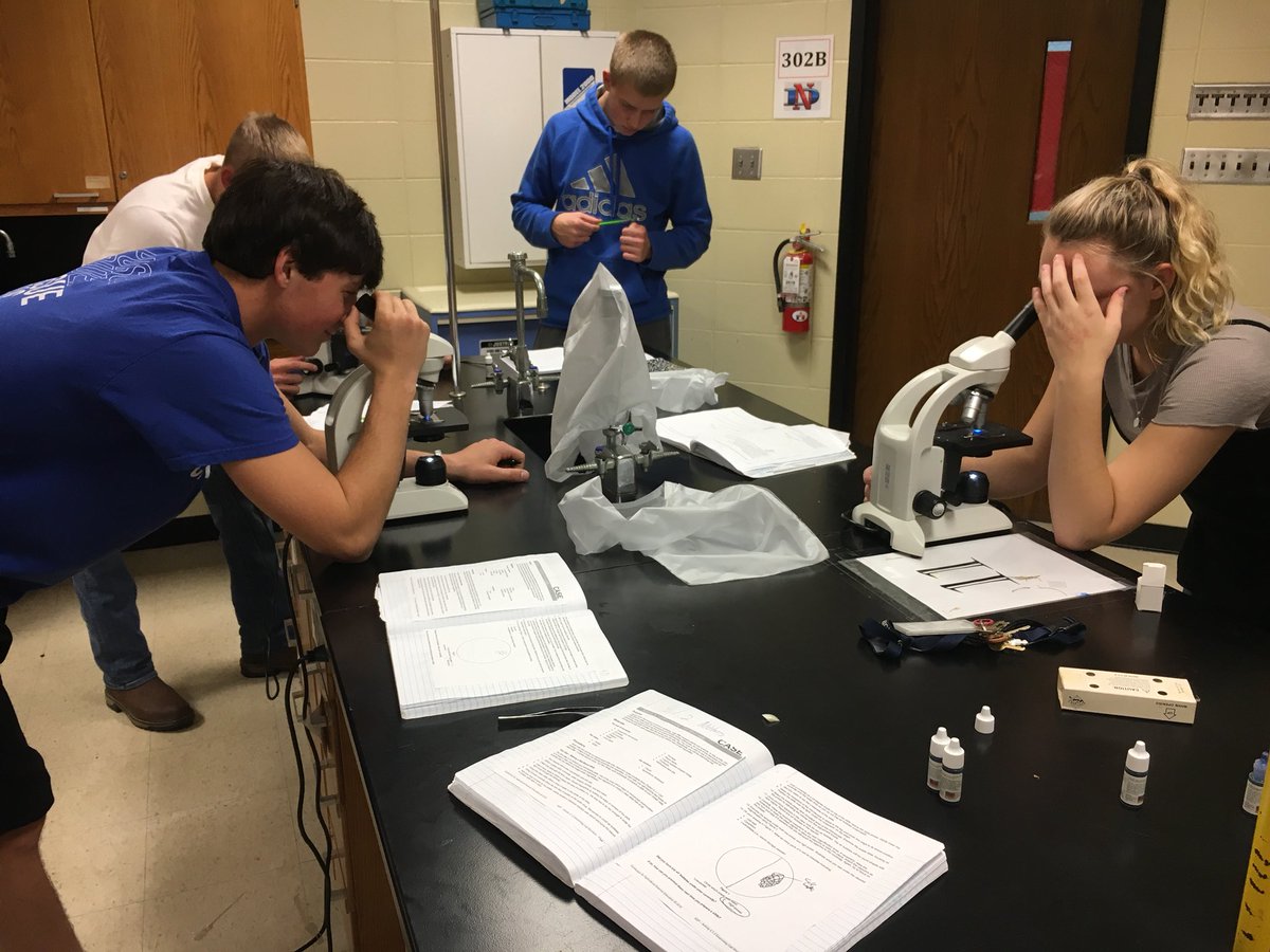efry2272's tweet photo. Plant and animal cell identification #animalscience #ALSplants @NorthDecaturHS https://t.co/kGUdeXB51U