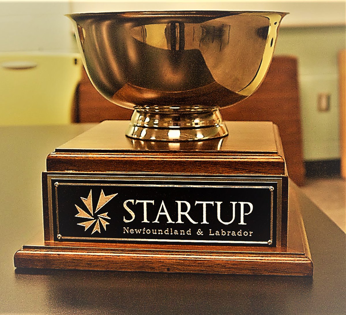 Startup Newfoundland & Labrador tweet media