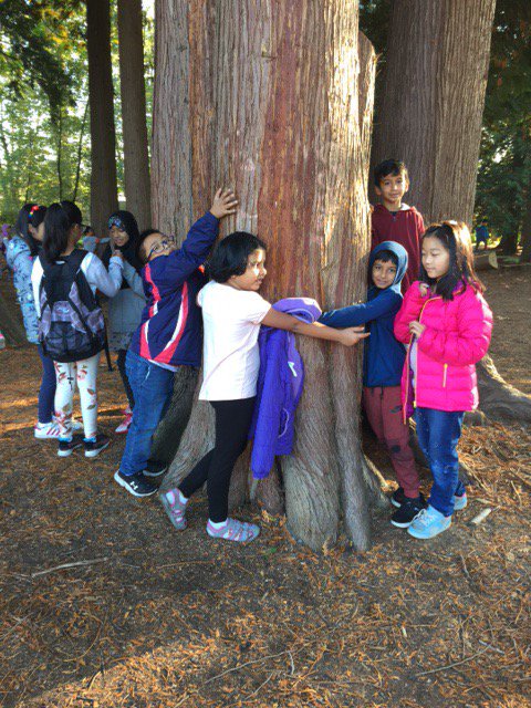 MrsJ_Elder's tweet photo. We have been exploring the #corecompetencies through the #6cedars. So far we have looked at cedar trees themselves & introduced all the animals before focusing on Beaver. Thanks https://t.co/hTPhMtcZTK, https://t.co/uzfcXlF3cq and @strong_nations. #SD36learns https://t.co/Te2vpms2Bk