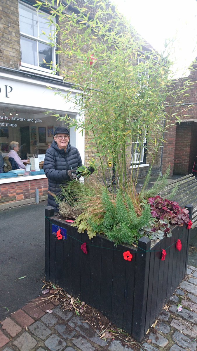 Sandwich In Bloom tweet media