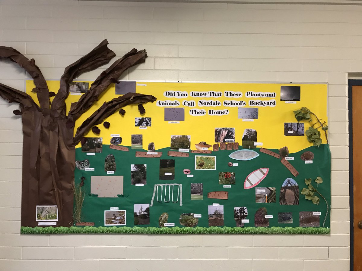 Room1Ward's tweet photo. When Room 1 hears there are deer in our field we get the photo evidence and update our habitat bulletin board! @nordalentrplay @nordaleLRSD https://t.co/Sd15GiojcB