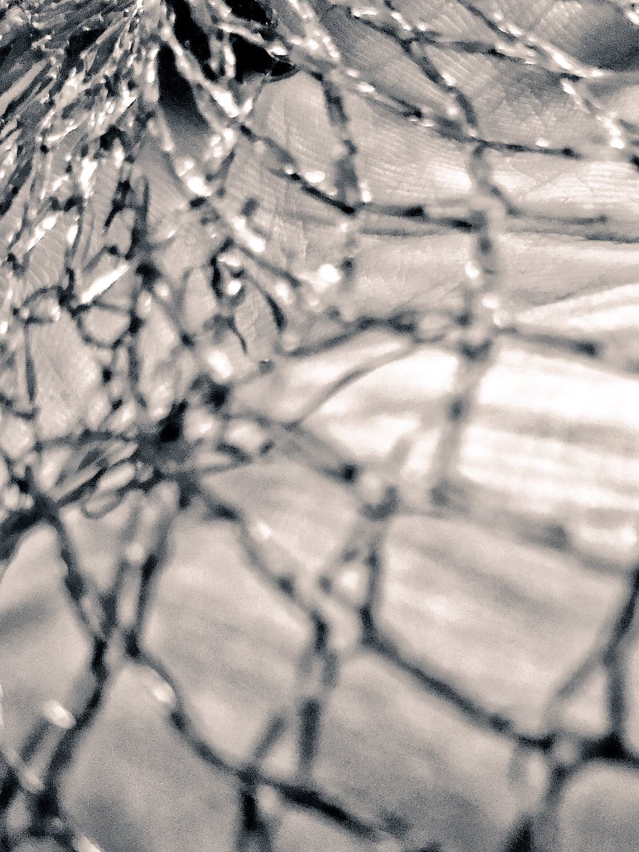 SophieTillman15's tweet photo. @carlheneghan @NICEcomms photo of the new best vaginal mesh on the market #vaginalmesh #evidencebasedmedicine #tangerinemesh #deviceregulation #evidencevoid https://t.co/NquyjA3j3D