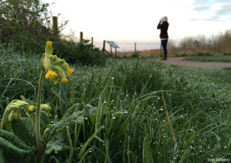 1 in 4 adults experience a mental health disorder including anxiety and depression. A great way to help is to get outdoors. It's proven that being in wild places and connected with nature improves our mood and increases our sense of self-worth. 🌳😊