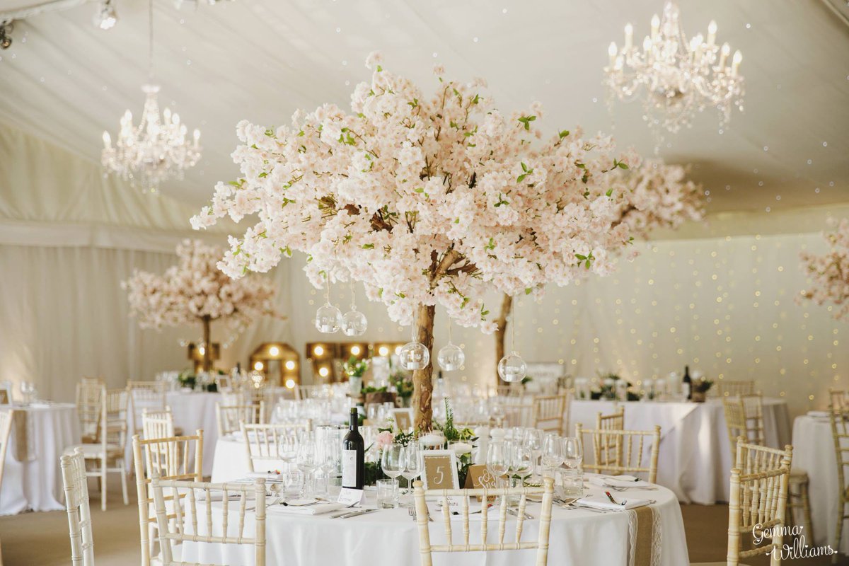 Iscoyd Park tweet media