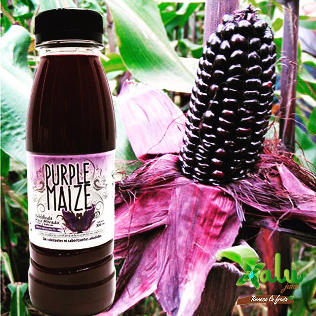 xalucorp's tweet photo. #PurpleMaize  #Bebida refrescante❄️, ideal para retardar los síntomas del #envejecimiento, proveniente de alimentos ricos en antioxidantes tales como el #maizmorado 💜🌽#healthydrinks #vidasaludable 💪😎 #nutricion https://t.co/2HVzRwJVw4