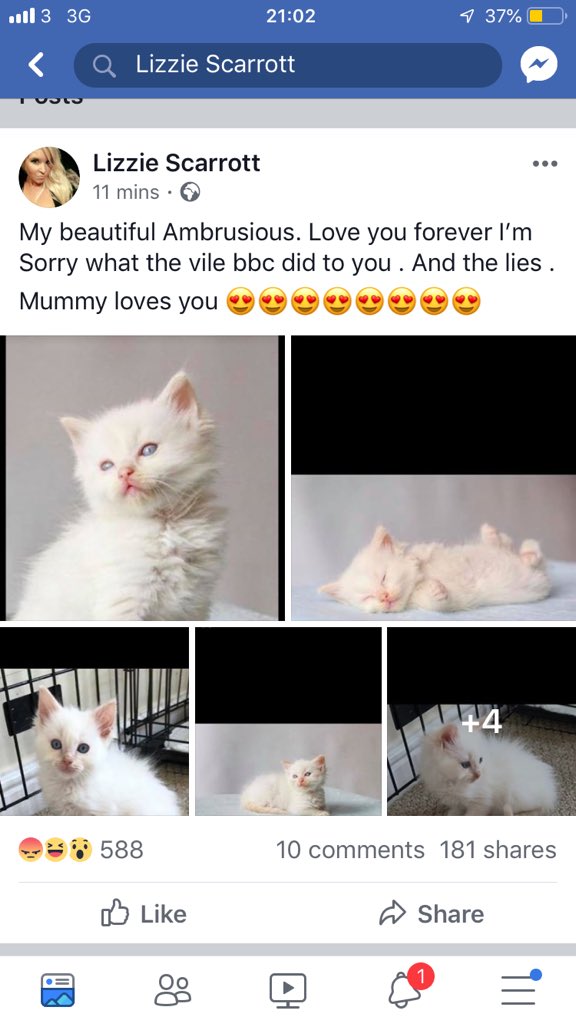 LizzieRees's tweet photo. This woman is absolutely vile. Surely the @RSPCA_official has been notified and will shut her down. Those poor kittens. #bbcwatchdog https://t.co/G9hc2zvy1G
