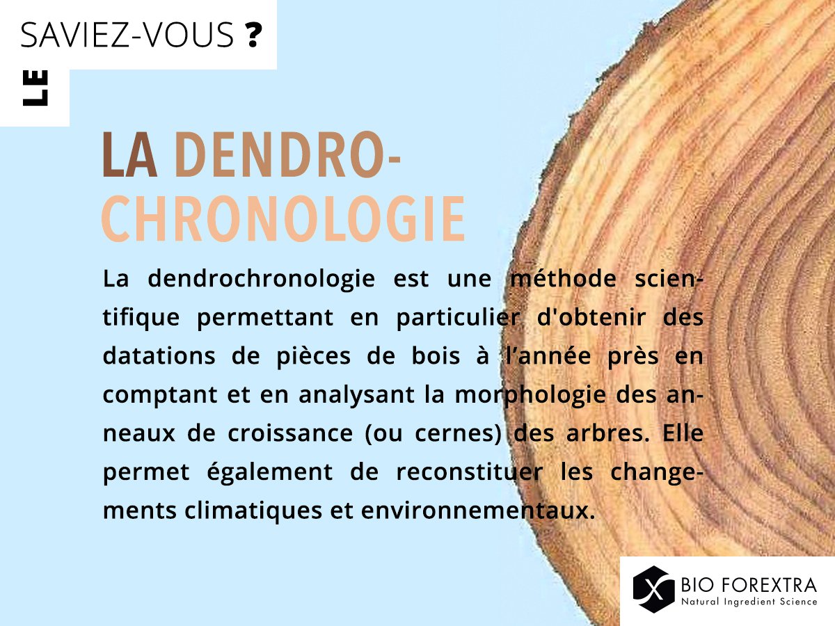 Did you know ?
Dendrochronology is a scientific method that allows us to obtain year-round dates of pieces of wood by counting and analyzing the morphology of tree growth rings. It also allows us to reconstruct climate and environmental changes.
#TreeLovers 💚