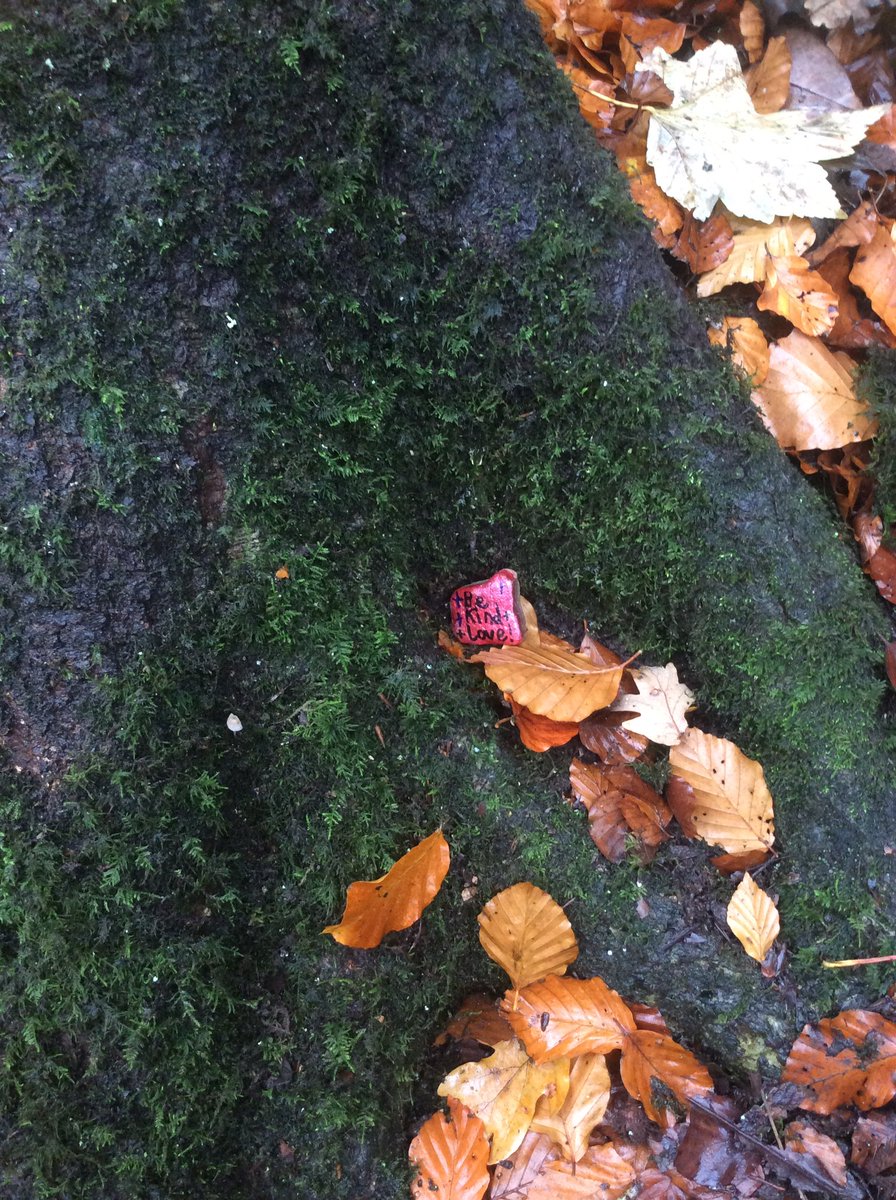 HolyTrinityVC's tweet photo. Class 4/5S off to hide their kindness stones in #boldventurepark Can you find any? Post your photo and tag #HTkindness before hiding it and spreading the kindness again for someone else to stumble upon ππ #Darwen https://t.co/3A87Umg079