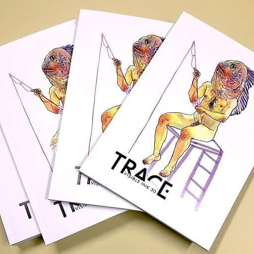 Trace is here! Pick up a copy at <a href="/ReadingsBooks/">Readings</a> Carlton, Malvern, St Kilda, #haresandhyenas <a href="/jeffreysbooks/">Jeffreys Books</a> <a href="/hillcontentbook/">Hill of Content</a> @BBoundbks