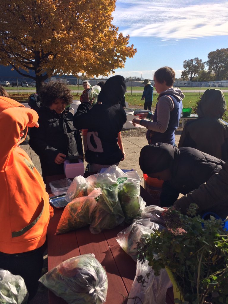 ms_guthier's tweet photo. This amazing day included fall harvest and preparing the beds for winter in our learning garden. The harvest was bountiful! #sfegood #farmingfun @SFE_3820 https://t.co/0cXlgjuTzu