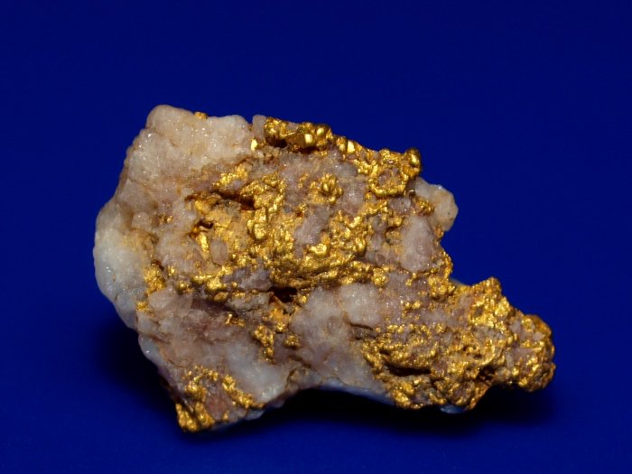 GoldRushNuggets's tweet photo. https://t.co/XNuAfLDonD