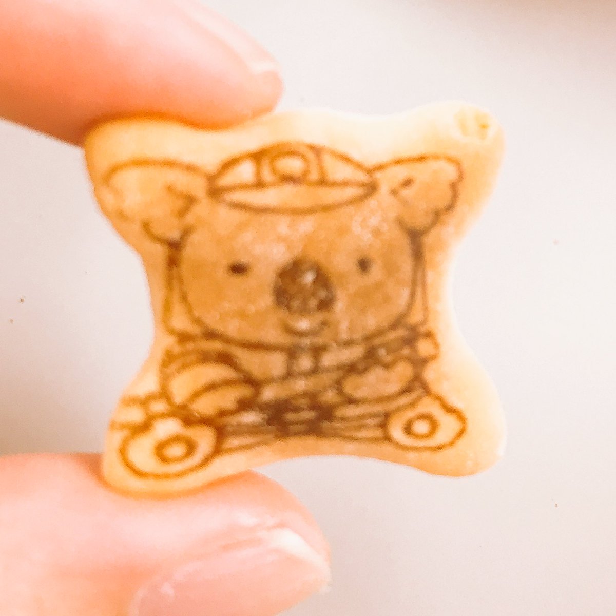 謎のコアラのマーチ 謎のコアラのマーチ