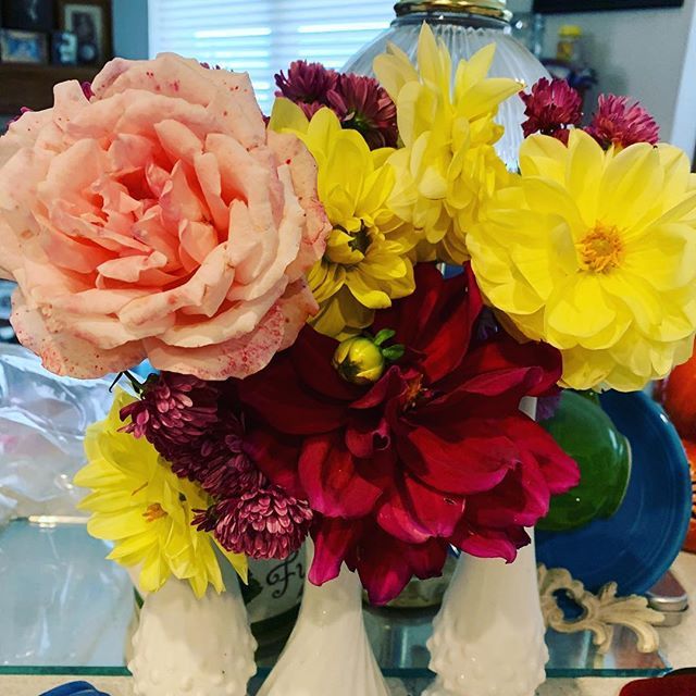 ilcygne's tweet photo. Picked these blooms before the coming frost kills them. #notreadyforwinter #flowersmakemehappy #homegrownflowers https://t.co/KaIHmjqjMc https://t.co/nq3El1PQef