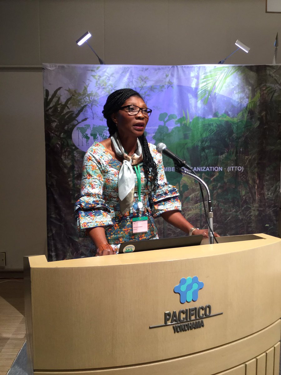 #Women are at bottom of hierarchical pyramid in #forestry and this #needstochange, says Cecile Bibiane Njebet in a panel discussion on the role of women in achieving ITTO objectives at #ITTC54