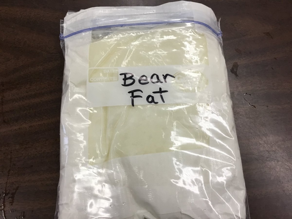 wescopperdce's tweet photo. STEAM activity in Rm. 11 today. This week we are learning about how bears stay warm in the winter. Students put on the bear fat glove and submerged their hands in ice water! We had a blast! #WestonPride #EverestPride https://t.co/vJEQkeAXy6