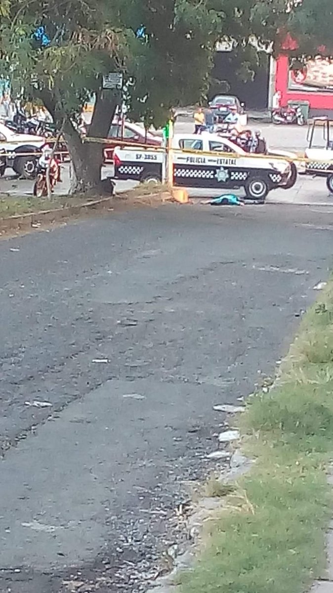 #Verfollow #Veracruz tweet media