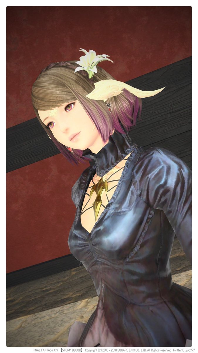 じゅぶこ Anima Mana 昨夜ピューロスのうさぎ銀箱から出た 編み込みカチューシャ はクセ者揃いのウチの子より百倍似合うと思ってたえりんさんに 思った以上に似合ってて目の保養だた Ff14 本日のアウラ アウラ