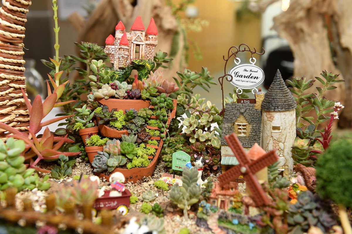 gimhae4you's tweet image. 다육아트 들어보셨나요?~~*

시청 별관 민원실에 전시중인 다육이🌵 (~11.9 전시)
한눈에 반하실껄요 😙

🔍다육아트 배울수 있는 곳
👉 goo.gl/yQ3nU5

#다육아트 #다육이 #김해시 #gimhaecity