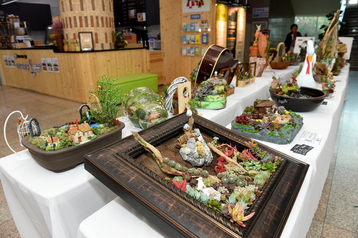 gimhae4you's tweet image. 다육아트 들어보셨나요?~~*

시청 별관 민원실에 전시중인 다육이🌵 (~11.9 전시)
한눈에 반하실껄요 😙

🔍다육아트 배울수 있는 곳
👉 goo.gl/yQ3nU5

#다육아트 #다육이 #김해시 #gimhaecity