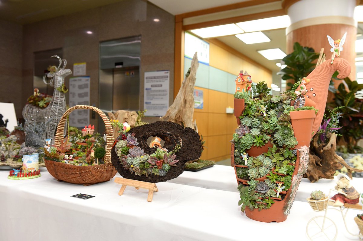 gimhae4you's tweet image. 다육아트 들어보셨나요?~~*

시청 별관 민원실에 전시중인 다육이🌵 (~11.9 전시)
한눈에 반하실껄요 😙

🔍다육아트 배울수 있는 곳
👉 goo.gl/yQ3nU5

#다육아트 #다육이 #김해시 #gimhaecity