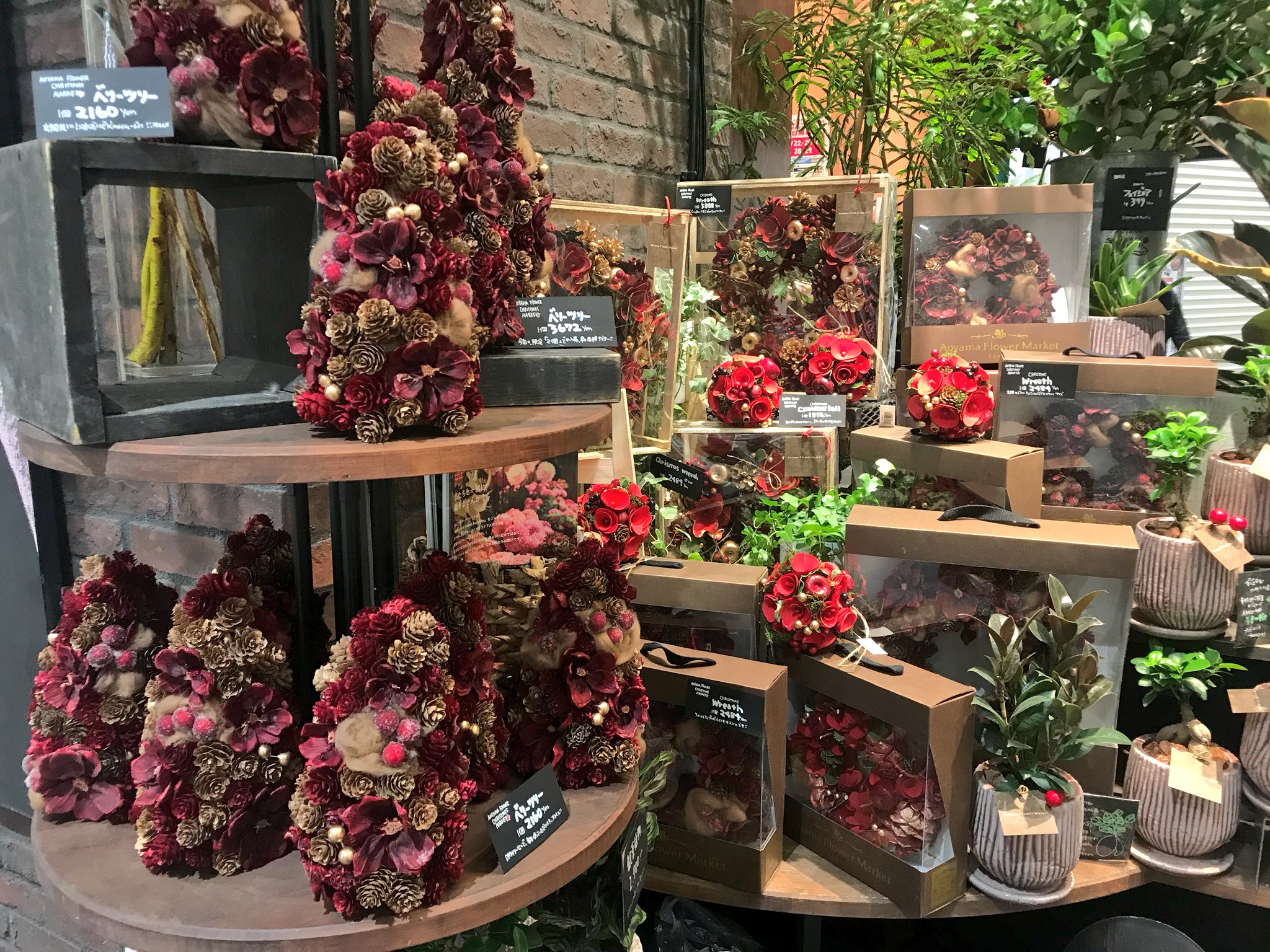 くずはモール Kuzuha Mall 本館ミドリノモール1f 青山フラワーマーケットにも クリスマスリースやツリーが くずはモールxmas T Co An2icqjchw Twitter