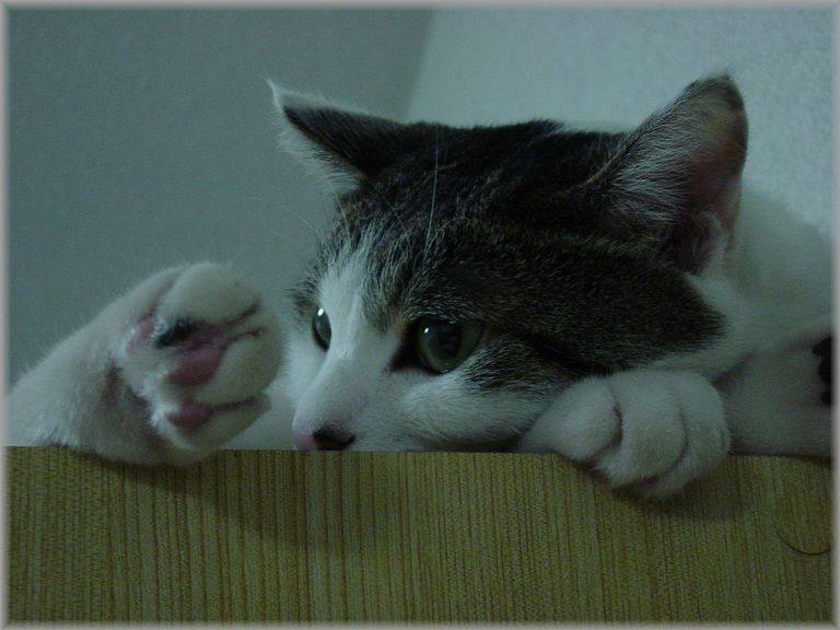 竹田裕一郎 Yuichiro Takeda Twitter