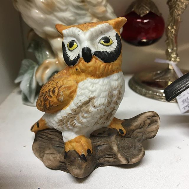 FMEphemera's tweet photo. I wonder what he’s looking at?
#figurine #WeirdOwlsWednesday #WeirdOwls #🦉#fleamarket #fleamarketfinds #thriftfinds #antique #vintage #weird #bizarre #trinket #knickknack #kitsch #curiosity #curio #bricabrac #collectible 
#FreeltonAntiqueMall #Freelton https://t.co/xiqvvSDpjm https://t.co/rjHt9o9eOj