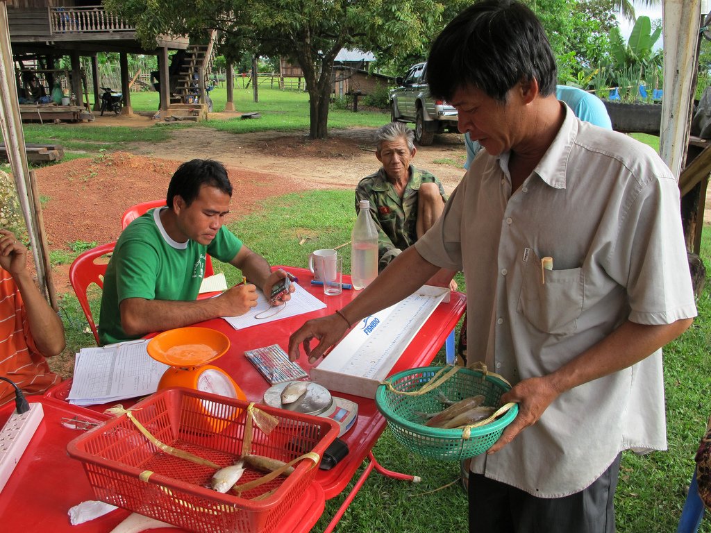 A new study on the fisheries diversity of the Nam Kading River, #Laos - results of participatory data collection by local communities. mekongfishnetwork.org/fishery-divers… #mekongfish #LaoPDR #smallscalefisheries #infish #communityfisheries #freshwaterfish #mekongmonday
