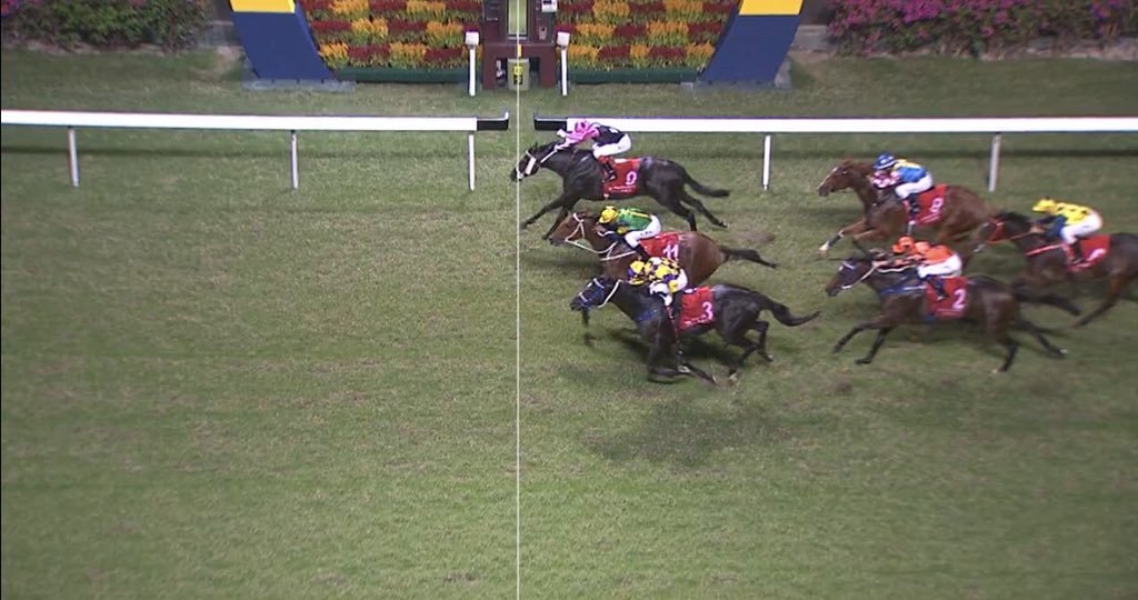 Georgejmoore8's tweet photo. Good Beauty takes the rail passage to win the 1200m class 3 at Happy Valley. Nice way to get off the mark this season #hardspun #pppurchase https://t.co/J9H2RQhcaY