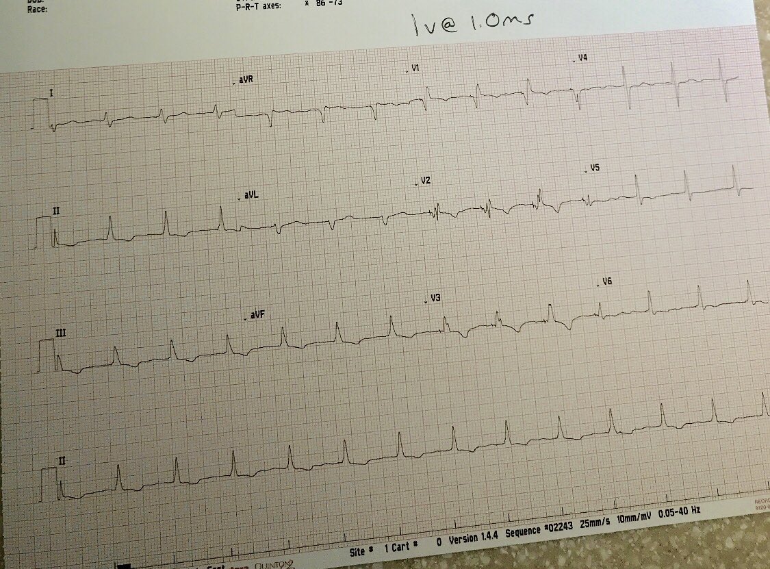 Yoel Vivas tweet media