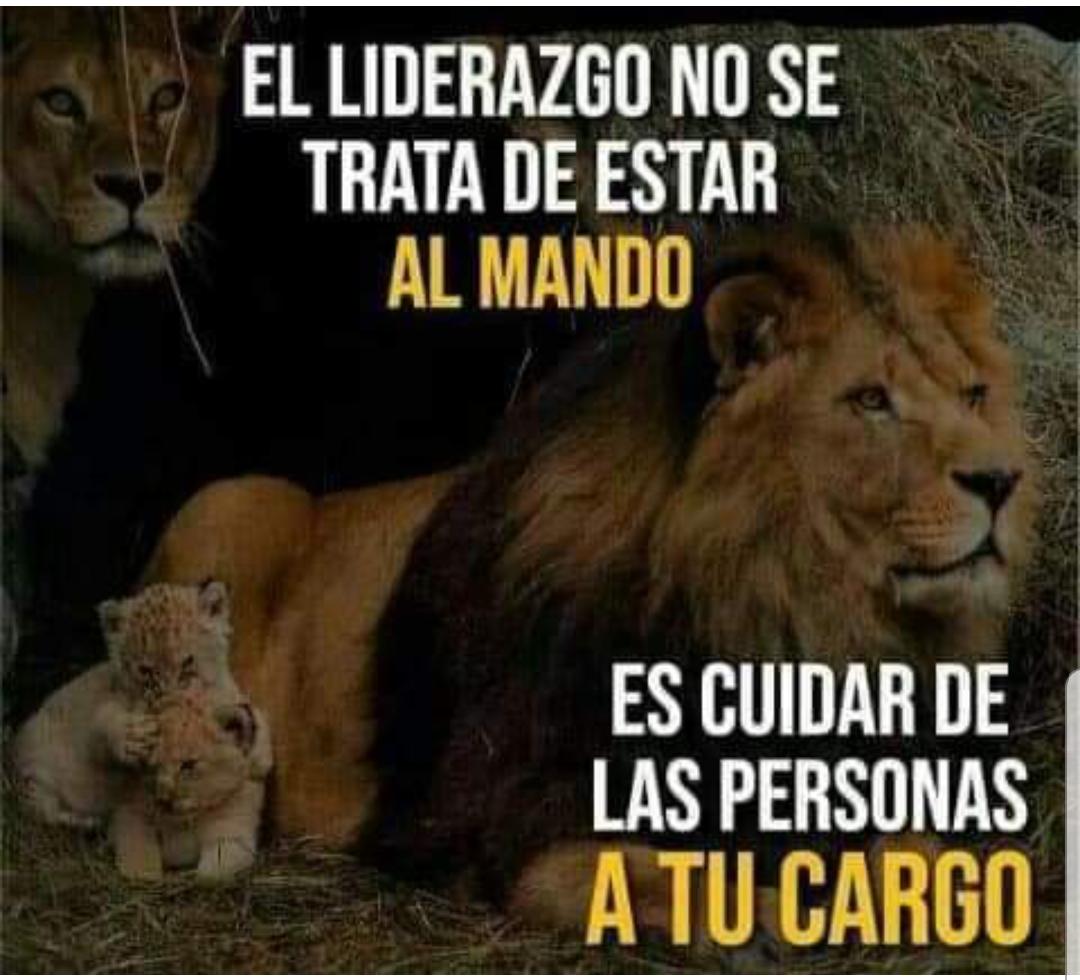 AguedaLpez7's tweet photo. Es mejor rodearse de personas valientes. https://t.co/42V5um29js