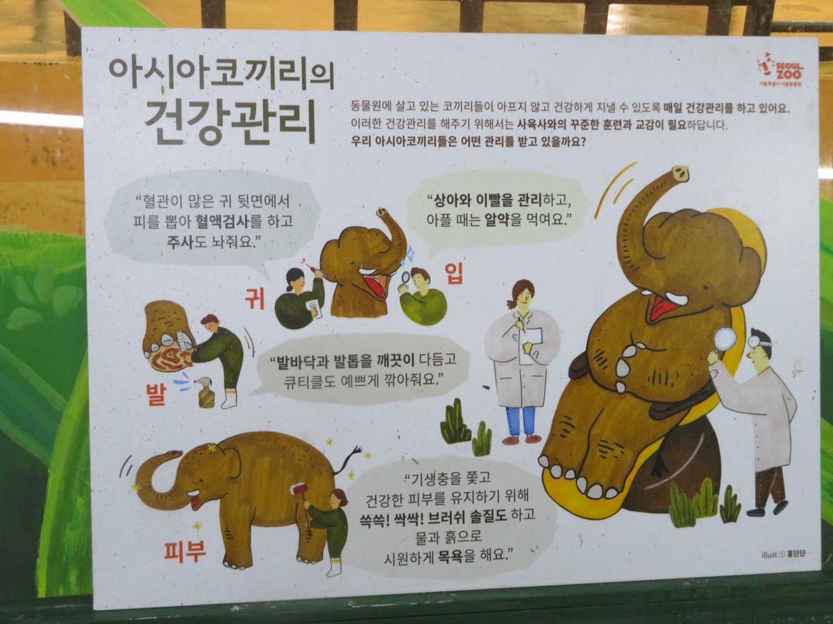 シロクマ好きの柴犬 室内にある可愛いイラストも撮って来ました シロクマ好きの柴犬 室内にある可愛いイラストも撮って来ました