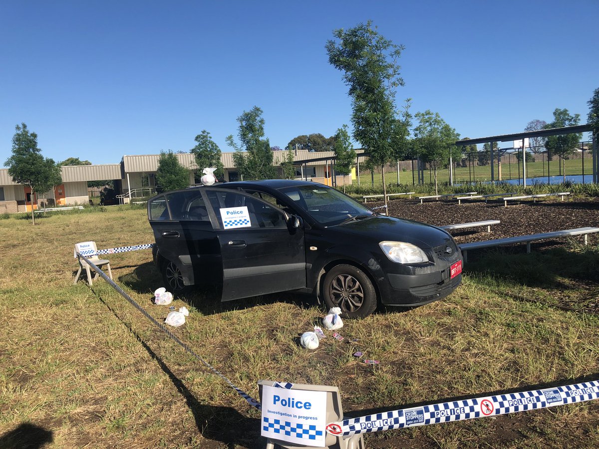 Spring Farm PS tweet media