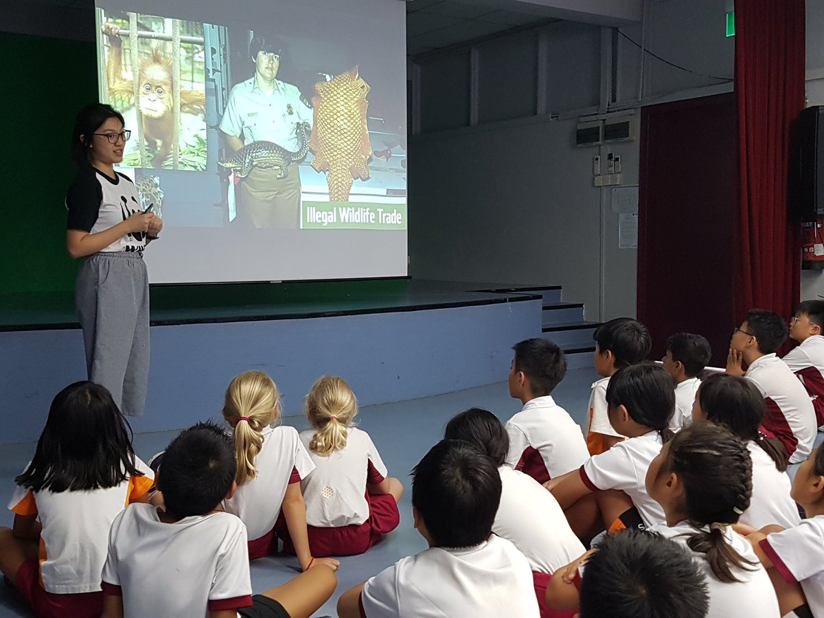A long over due tweet from last month when WWF came to our school to help us tune into our sharing the planet inquiry. #IssPride #IBPYP #pyp