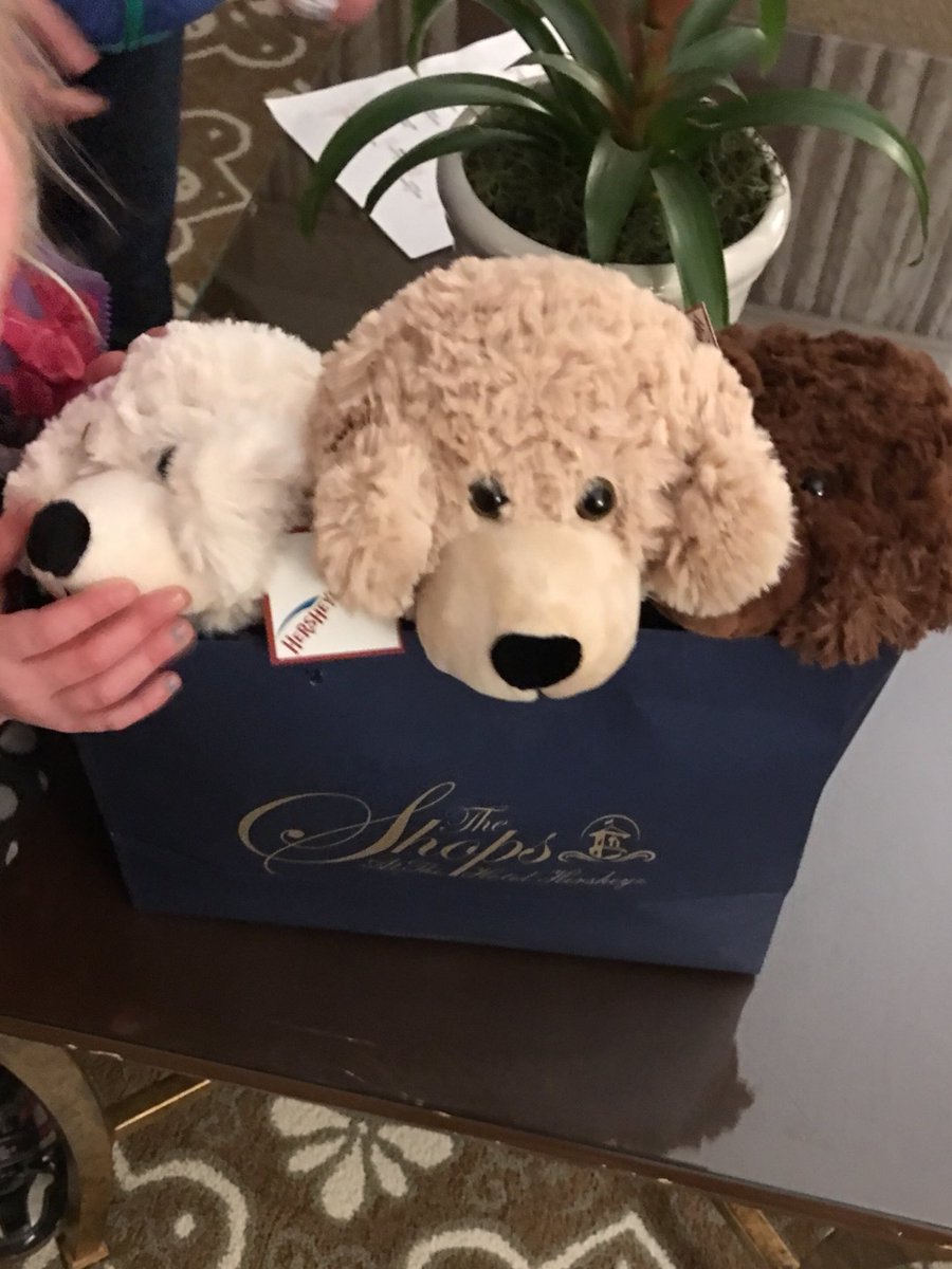 wallstmom's tweet photo. Couldn’t be happier with the warm reception for a mommy daughter girls night @HotelHershey #lovehershey #happykidshappymom #emanualrocks https://t.co/y6JicreK0L