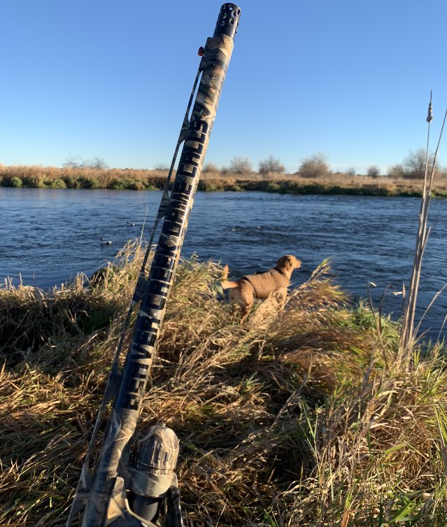 BeavrCreekCalls's tweet image. WATERFOWL POLL: Do you prefer a Semi or Pump shotgun? RT for Semi and Favorite for Pump! Comment with your go to duck gun!