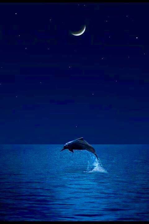 RobertoAbanto's tweet photo. Nature for You. https://t.co/tYYM3IdkWg