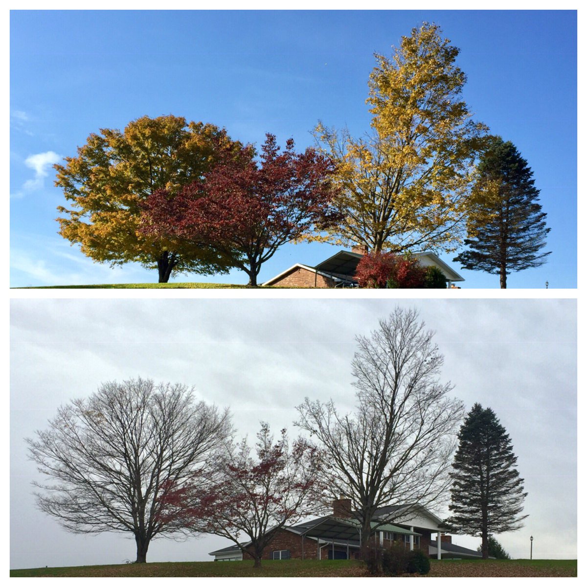 utmbgrad's tweet photo. What a difference a week makes
#FallHasFallen https://t.co/uniY6V1uTo