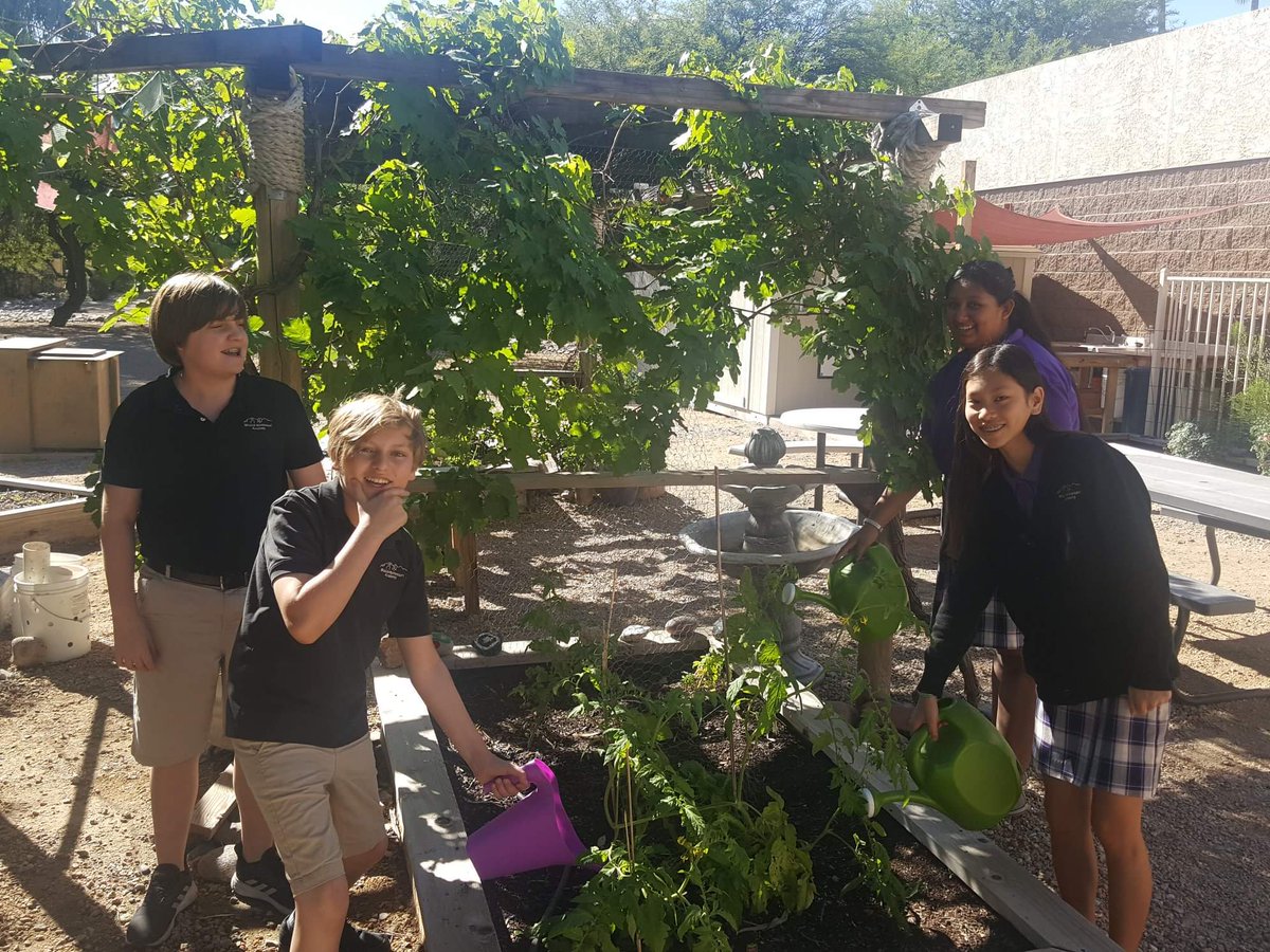 mmacademyaz's tweet photo. Mission Montessori's St. George Campus has been up to a lot the past few weeks and our led by a great group of educators: Joslyn Maike, Lalit Ecka, Edward Favella, and Miles Canavello. https://t.co/SbYsiXf7CT