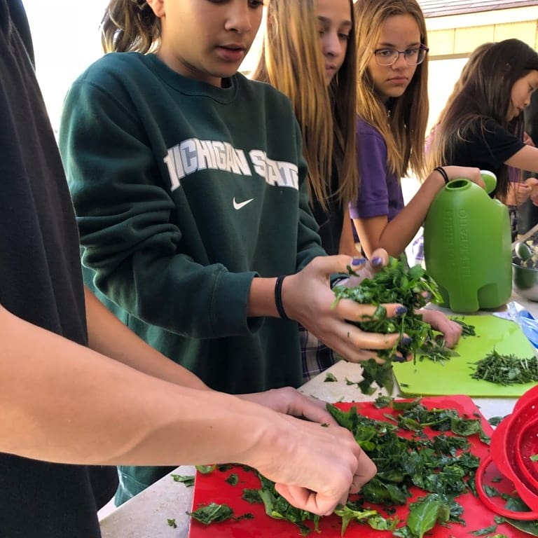 mmacademyaz's tweet photo. Mission Montessori's St. George Campus has been up to a lot the past few weeks and our led by a great group of educators: Joslyn Maike, Lalit Ecka, Edward Favella, and Miles Canavello. https://t.co/SbYsiXf7CT
