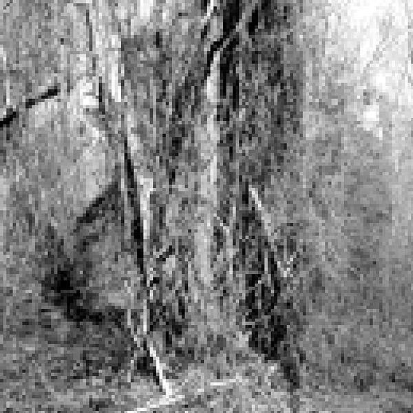 anonymousbart's tweet image. Composition 3, 2004
48 x 48 in
Film to digital banner print
#winnipeg #wpg #mb #art #winnipegart #photography  #wpgart #manitobaart #Canadianart #pixelart #blackandwhitephotography