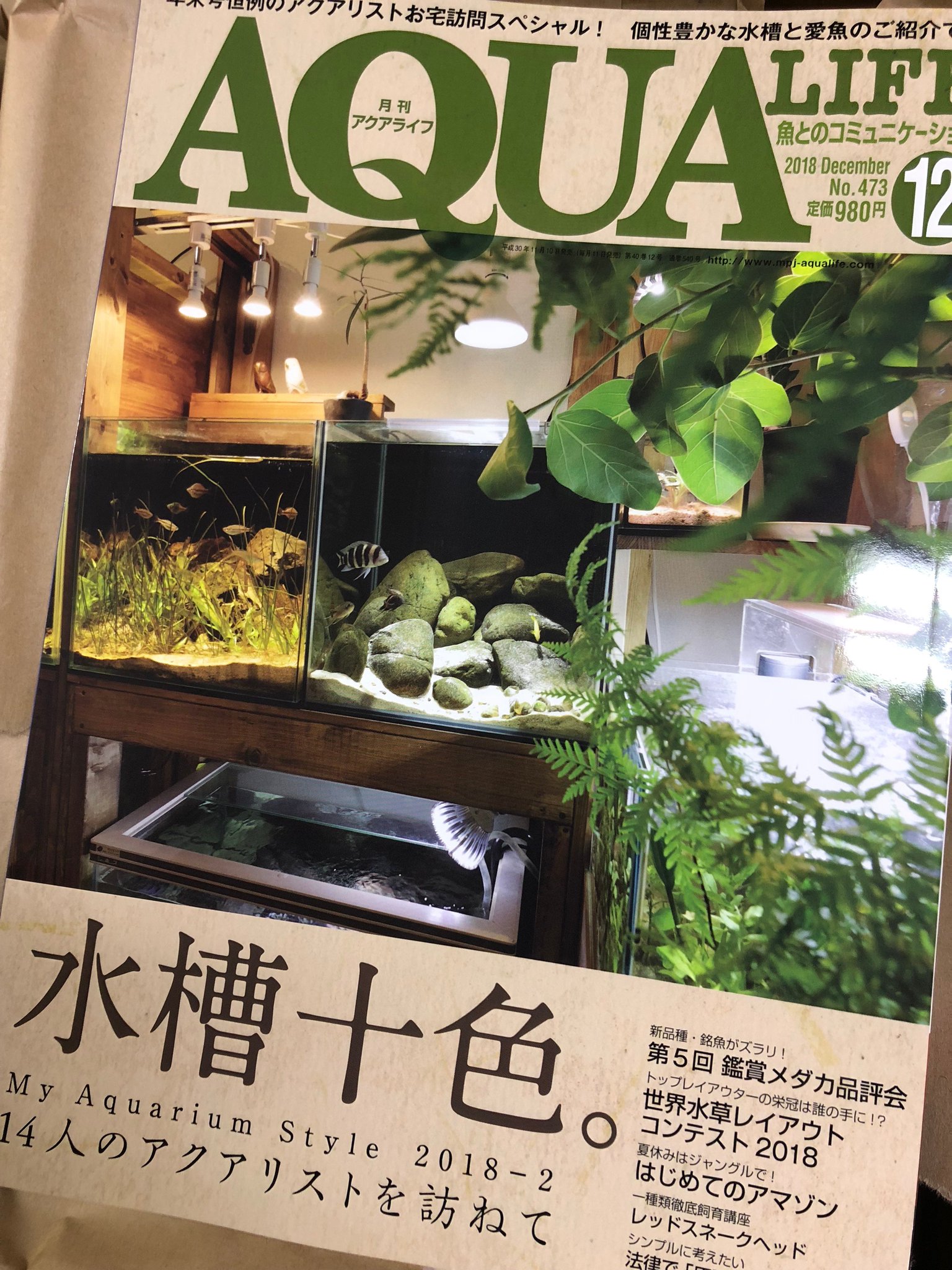 月刊アクアライフ編集部 Twitterren もうすぐ発売 月刊アクアライフ12月号 お宅訪問sp 本日搬入 発売は11 10 土 首都圏基準 です 今回は14人の個性豊かなアクアリストのお宅を取材しました 水槽ももちろん個性的 メダカ品評会や水草レイアウトコンテスト 月刊アクアライフ編集部 Twitterren もうすぐ発売 月刊アクアライフ12月号 お宅訪問sp 本日搬入 発売は11 10 土 首都圏基準 です 今回は14人の個性豊かなアクアリストのお宅を取材しました 水槽ももちろん個性的 メダカ品評会や水草レイアウトコンテスト