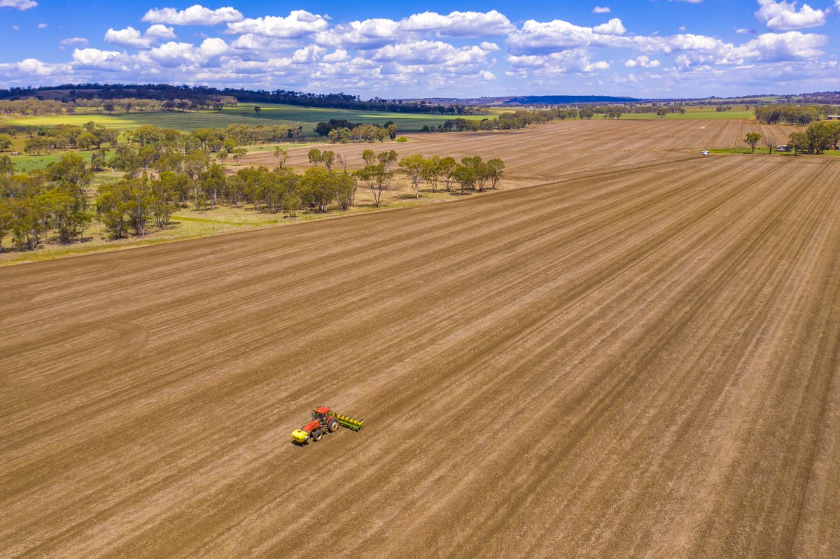 Potentially one of the most elevated #cotton crops planted in Australia this season, at 650m above sea level this CSD dryland cotton trial at #Delungra, NSW will assess the suitability of different CSD varieties for the #NorthernTablelands region.

#CSDcotton

<a href="/acres_of_opp/">Acres of Opportunity</a>