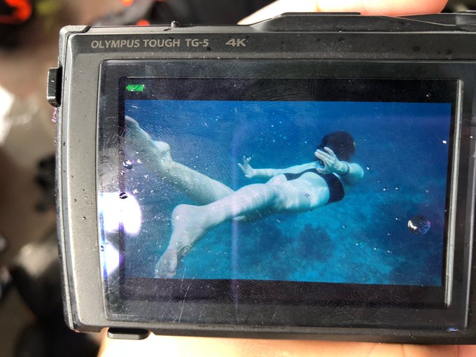 コスプレイヤー贤儿sherryのTwitter画像56