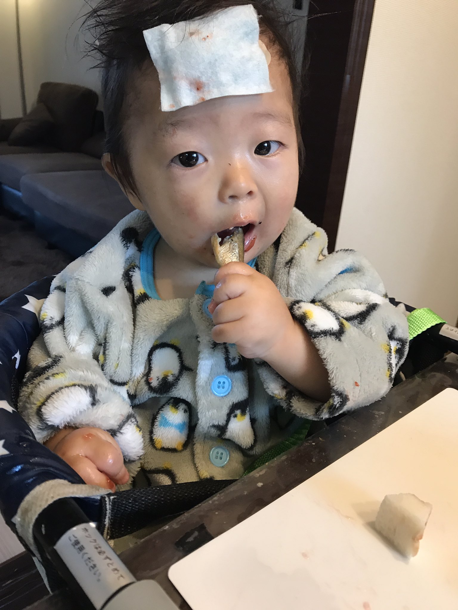 じゅりお シシャモ好き 血ではなく イチゴジャム 熱ではなく たんこぶができたから冷えピタ T Co Gwgldnlg7i Twitter