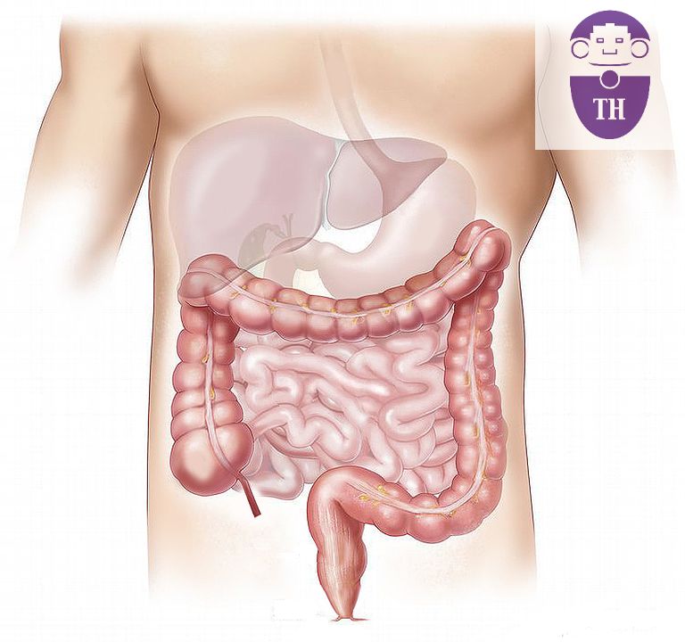 ThetaColombia's tweet photo. Programa del día 8: Amar el sistema digestivo. #Anatomía IntuitivaThetahealing #CursoDeniñosArcoIris #MedicinaAyurvedica #ThetahealingADN3 #MediaciónFamiliar #Miirabai #Programatehoy #ThetahealigColombia #AgradecéHoy #PlantasThetahealing #BienestarEspiritual https://t.co/b6J7ezjjf1